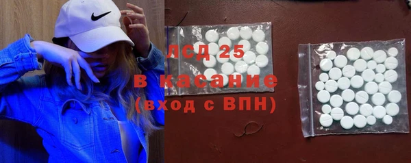 соль ск Горнозаводск