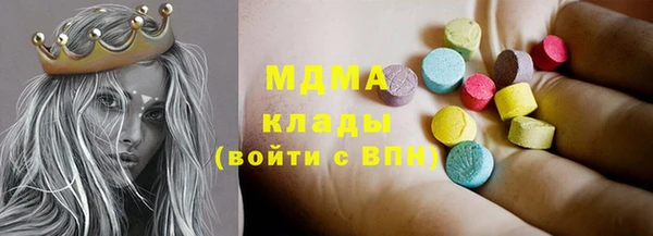 PSILOCYBIN Горняк