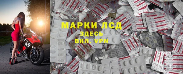 PSILOCYBIN Горняк