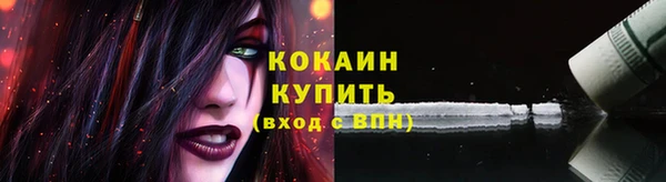 PSILOCYBIN Горняк