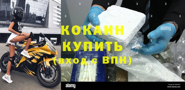 PSILOCYBIN Горняк