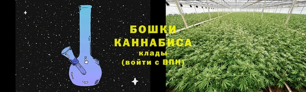 PSILOCYBIN Горняк