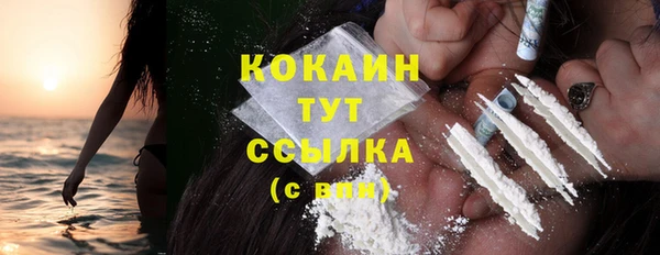 PSILOCYBIN Горняк
